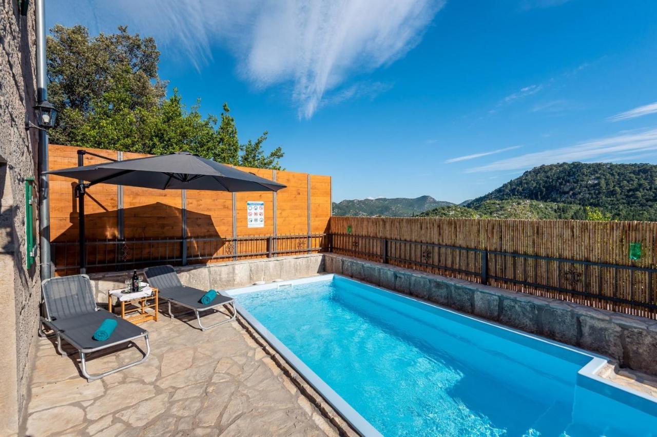 Villa Lazini Dvori Stasevica 외부 사진