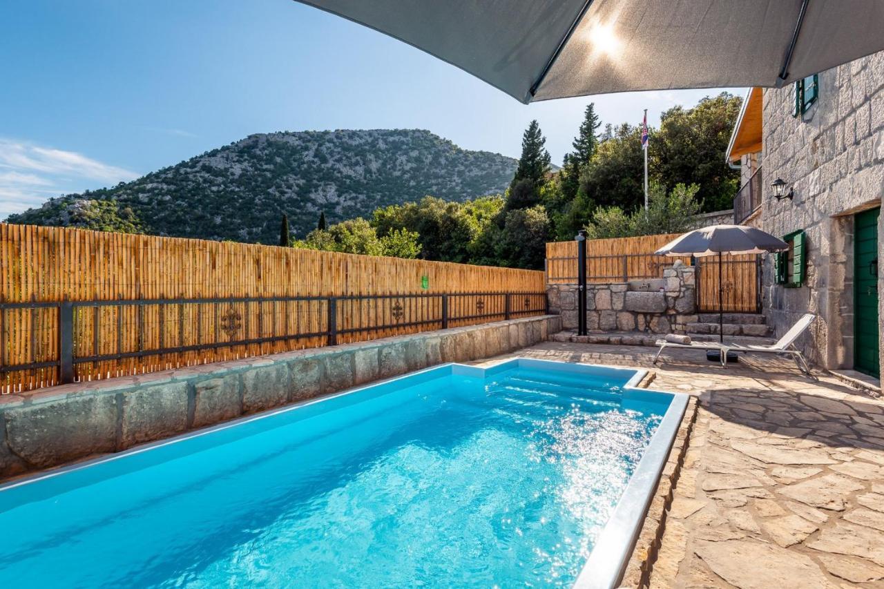 Villa Lazini Dvori Stasevica 외부 사진