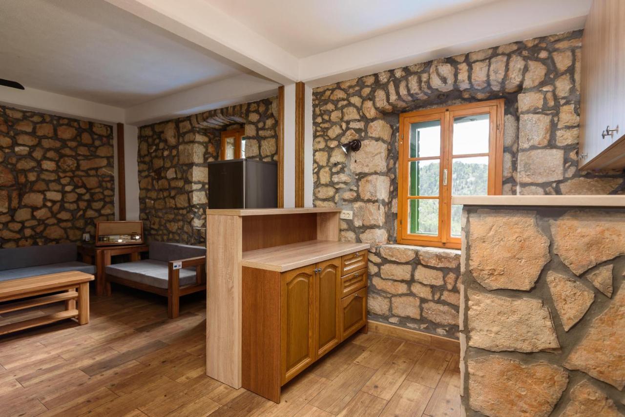 Villa Lazini Dvori Stasevica 외부 사진