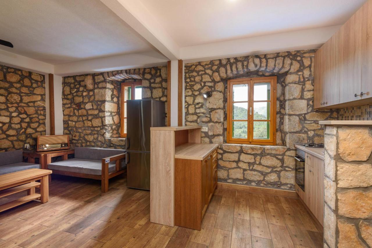 Villa Lazini Dvori Stasevica 외부 사진